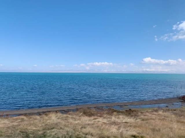 土人情到注意事项 司机陈师傅开车很稳 青海湖虽然秋天 景色也很美