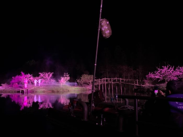 桃花源记的实景演出虽然票价不算便宜,但还是值得一看的,票需要提前买
