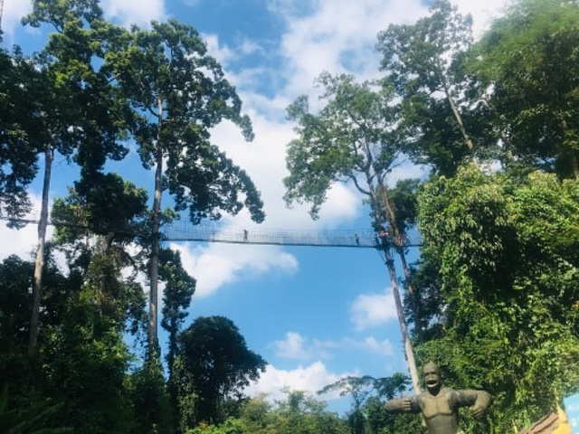 十分耐心_西双版纳热带雨林国家公园望天树景区的评论图片
