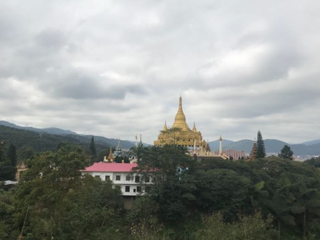 "余导人很好，讲解很细心，完全没有任何强制消费的，甚至一句话都没提，赞赞赞赞，独树成林很壮观，值得一去_哈尼文化园"的评论图片