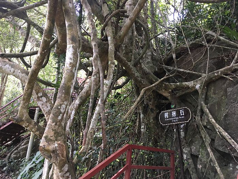 五指山水满河热带雨林风景区旅游景点攻略图