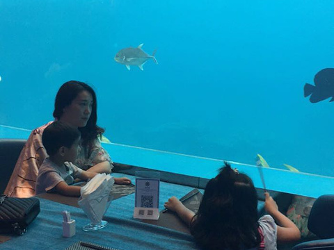 瑞德姆美人鱼海底演艺主题餐厅(亚龙湾店)旅游景点图片