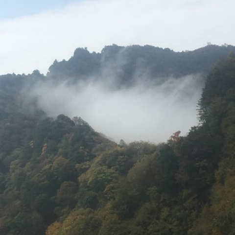 "_南宫山国家森林公园"的评论图片