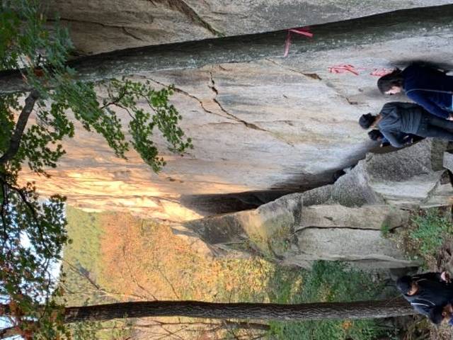 猴石国家森林公园