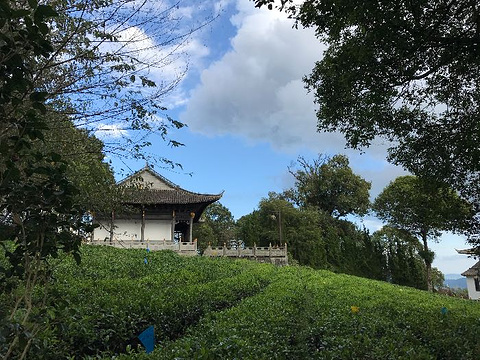 中华普洱茶博览苑旅游景点图片