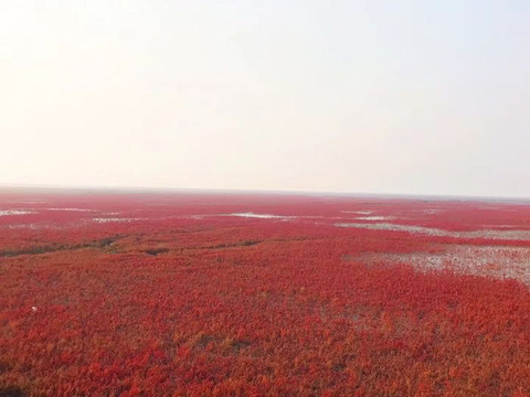 红海滩国家风景廊道旅游景点攻略图