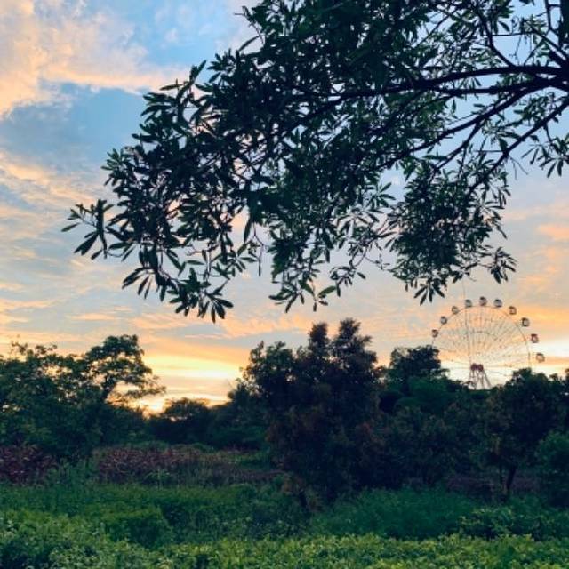 白沙门公园游乐场