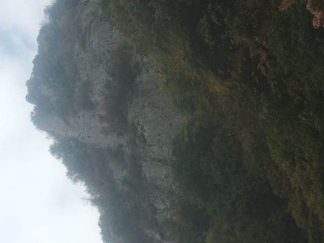 "_南宫山国家森林公园"的评论图片