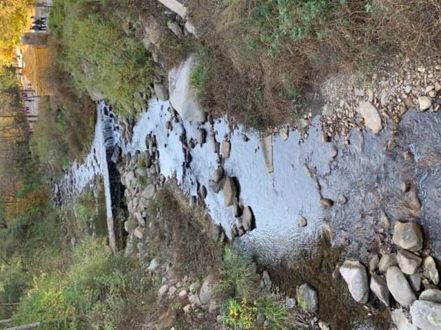 猴石国家森林公园