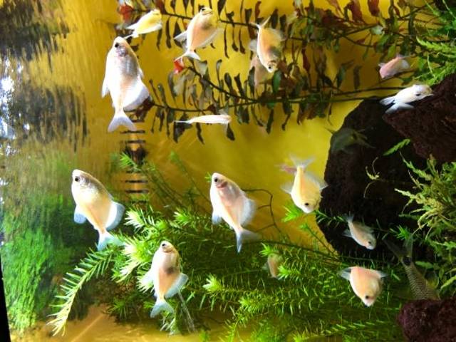 重庆汉海海洋公园