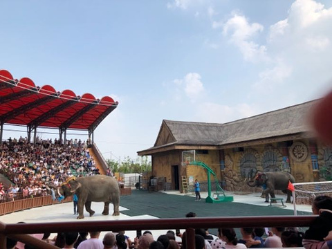 南通森林野生動物園旅遊景點攻略圖