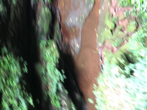 赤水桫椤保护区旅游景点攻略图