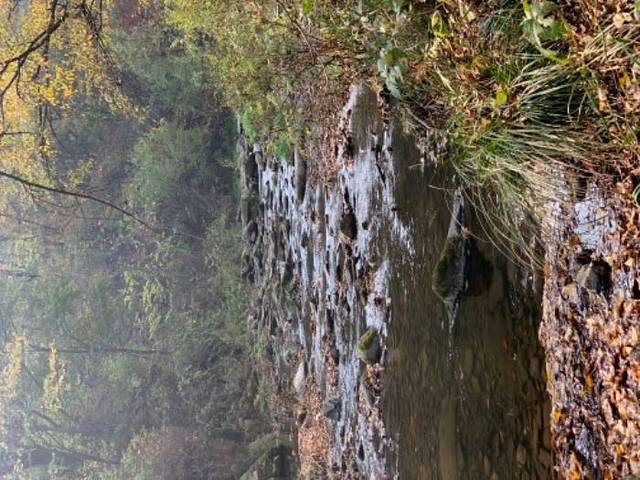 猴石国家森林公园