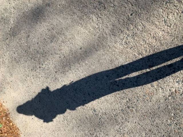 猴石国家森林公园