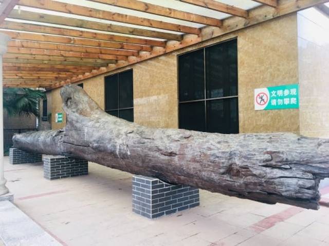 《乌蒙沐歌》山水实景剧