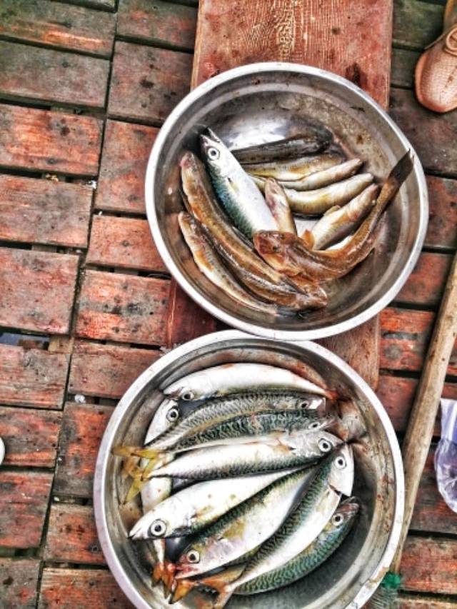 大连东港帆船航海