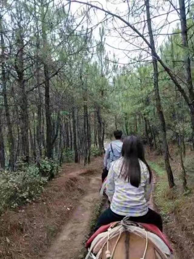 拉市海安尚马场