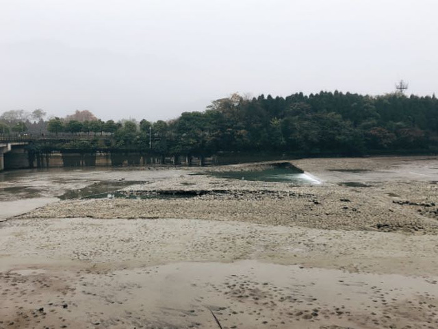 "_都江堰景区"的评论图片