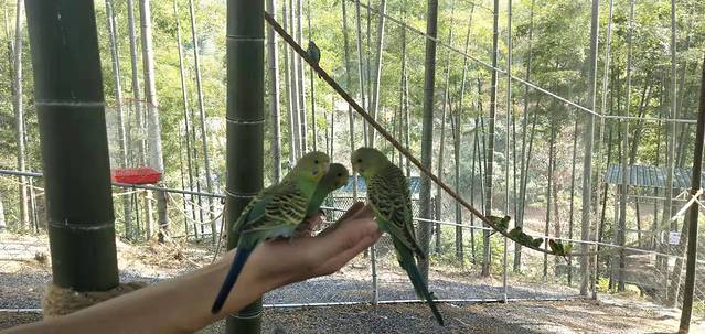 壹方山水生态旅游度假区