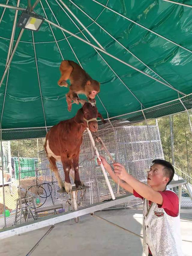 壹方山水生态旅游度假区