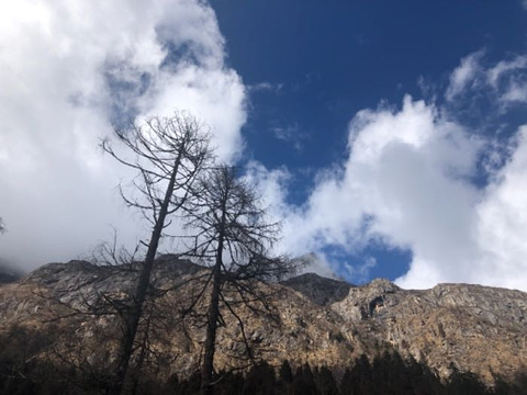 毕棚沟滑雪场旅游景点攻略图