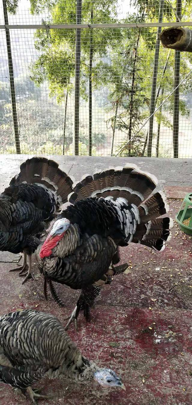 壹方山水生态旅游度假区