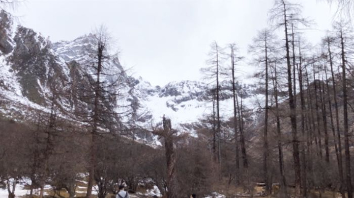 "景区景色还可以，就是没下雪_毕棚沟滑雪场"的评论图片