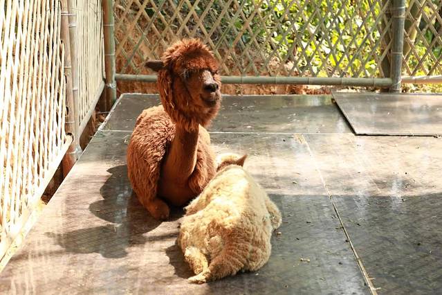 壹方山水生态旅游度假区