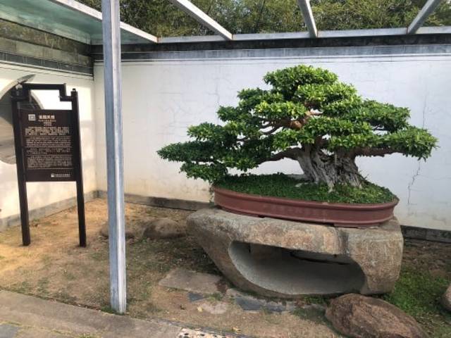 古徽州文化旅游区