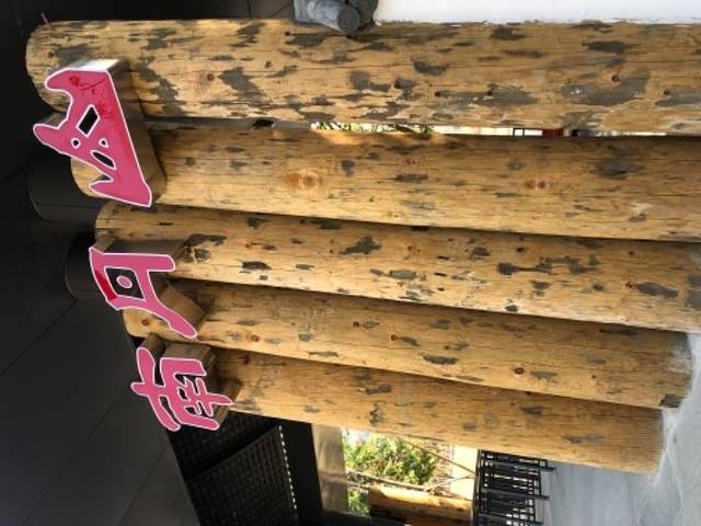 南丹山森林王国