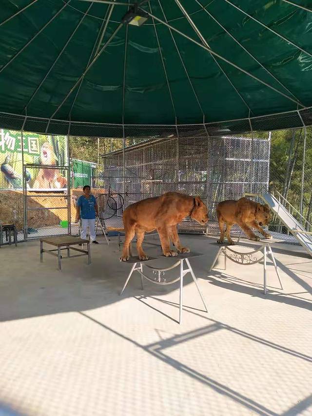 壹方山水生态旅游度假区