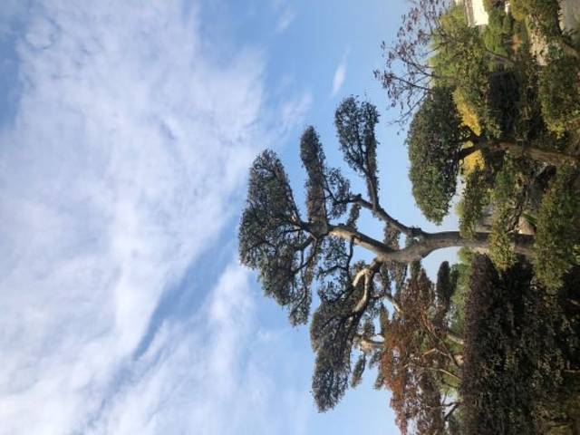 古徽州文化旅游区