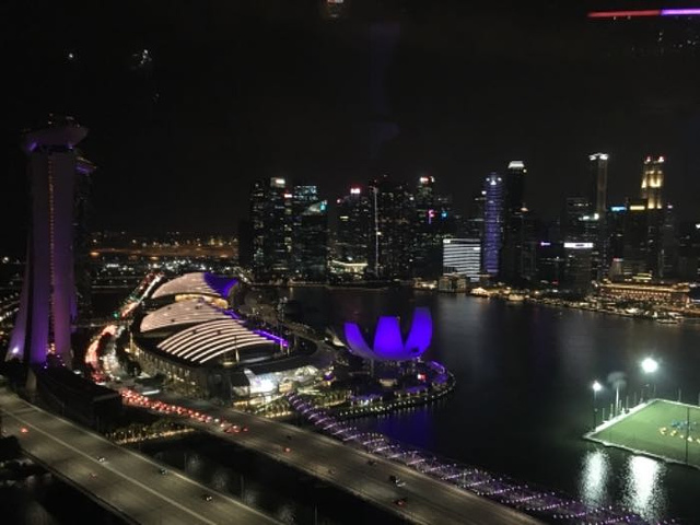 "不过要注意从第一个景点开始游玩有效期是7天。摩天轮还是可以坐一下的，看看新加坡的夜景_新加坡动物园"的评论图片