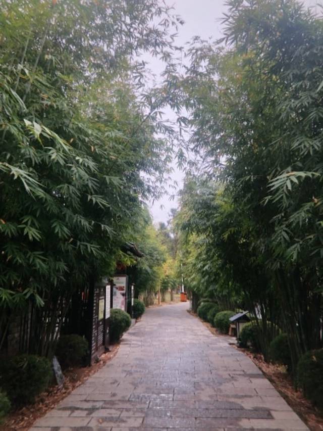 崇阳浪口森林温泉