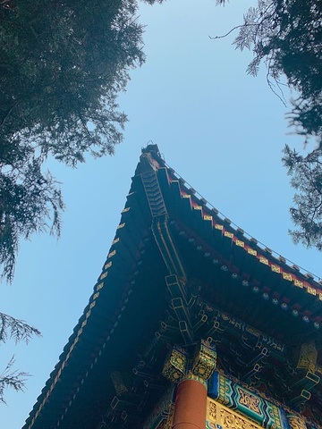 "...京的这些名胜古迹震惊到了，不到长城非好汉，这才叫终于到长城了，总之是一次非常愉快的旅行，赞赞赞_天安门广场"的评论图片
