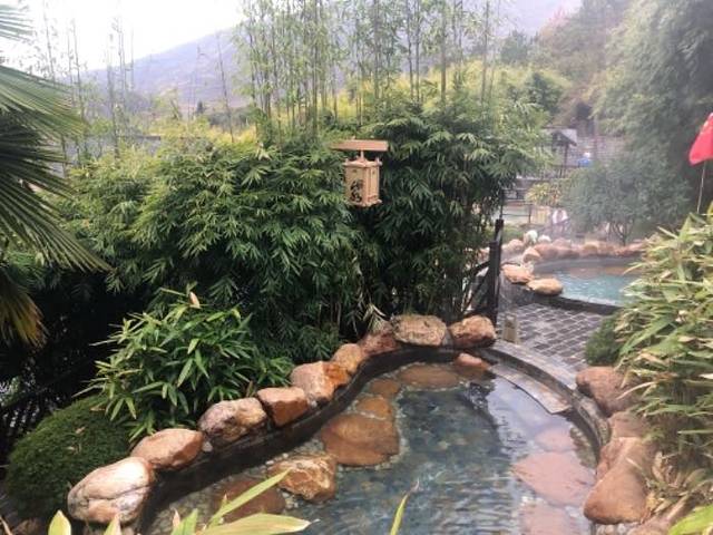 崇阳浪口森林温泉