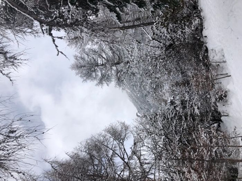 毕棚沟滑雪场旅游景点攻略图