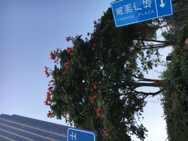 厦门环岛旅游观光巴士