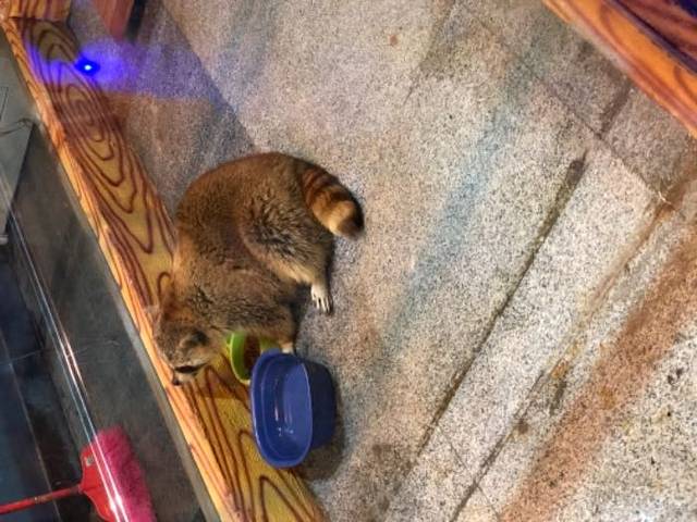 泉州石狮·海洋世界