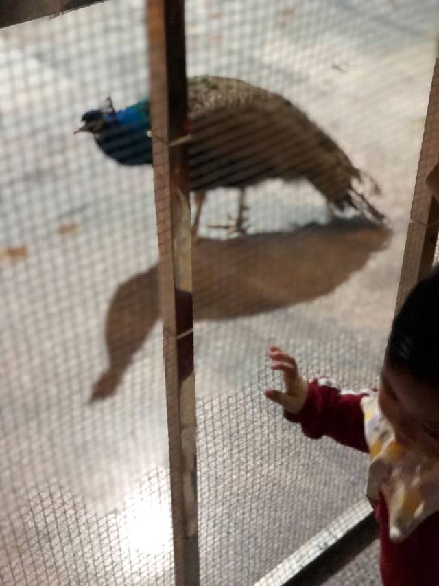 泉州石狮·海洋世界