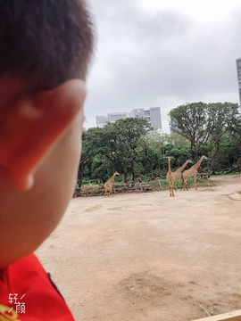 深圳野生动物园旅游景点攻略图