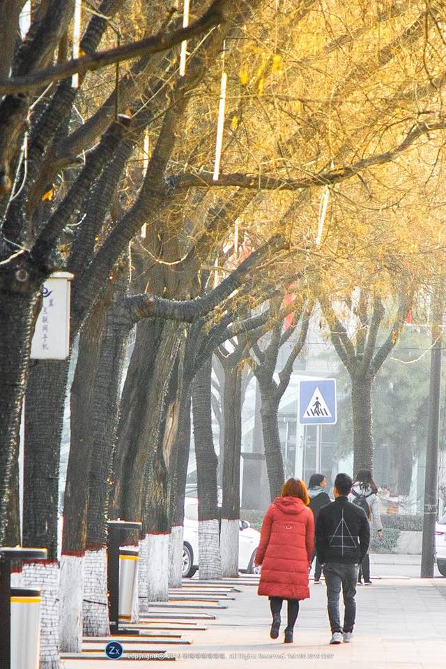 西安城市运动公园