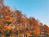 南湖公园
