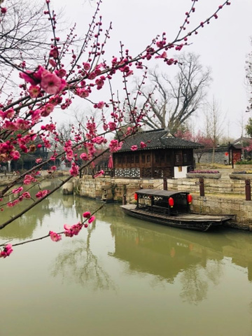 "...年时间石佛寺建于此，因形成五瓣状，其间草木葱郁、曲径通幽、大小河流穿梭潆洄犹如梅花，故名梅花洲_梅花洲"的评论图片