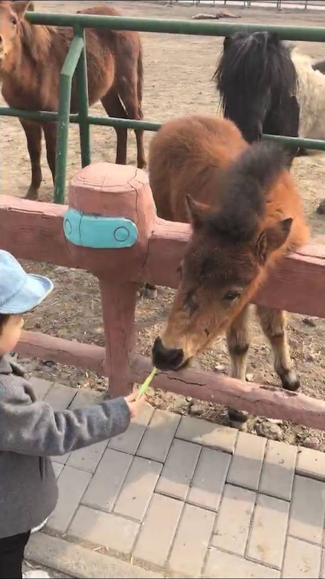 光合谷旅游度假区