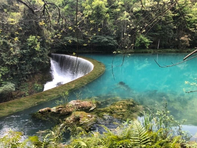 "_黄果树风景名胜区"的评论图片