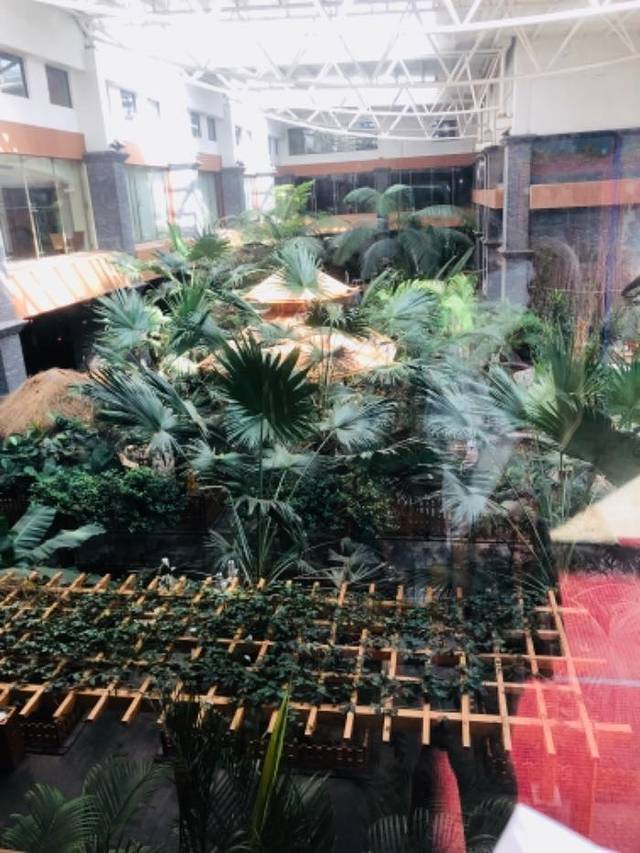 神农温泉度假村