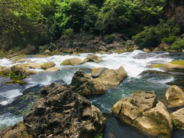 "_黄果树风景名胜区"的评论图片