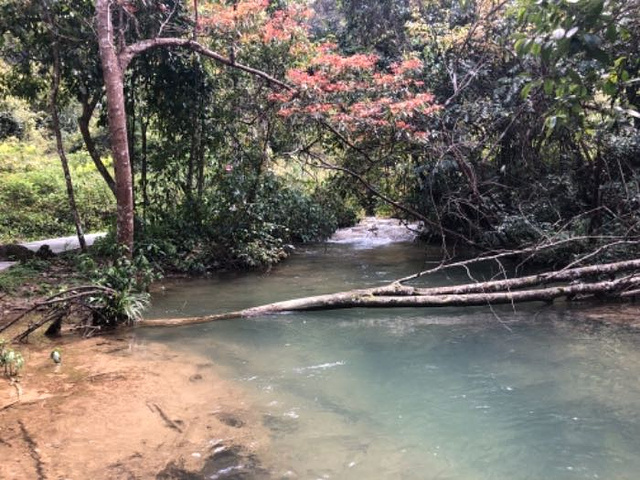 "_黄果树风景名胜区"的评论图片