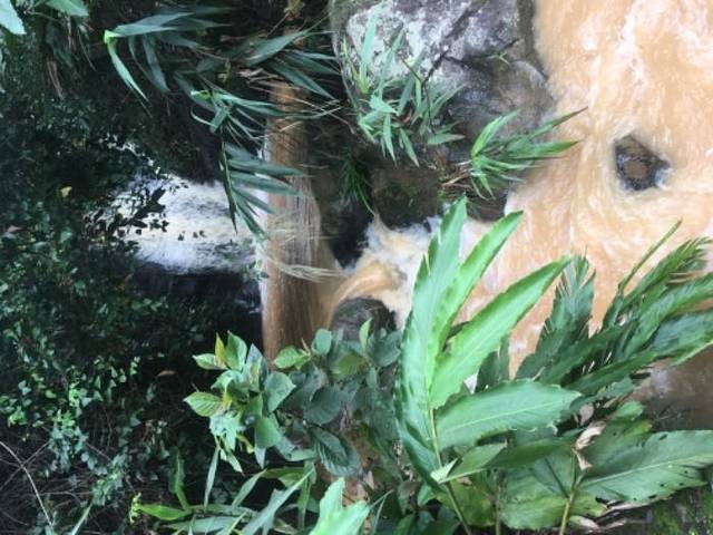 德庆盘龙峡生态旅游区